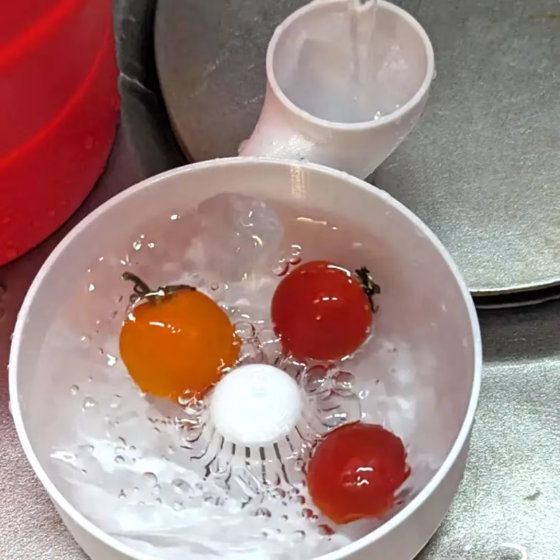 Fruit Spinner Portable Fruit W - 3D Printing Machine avaliação e preço